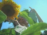 Sunflower Love: Flower Power 8/20