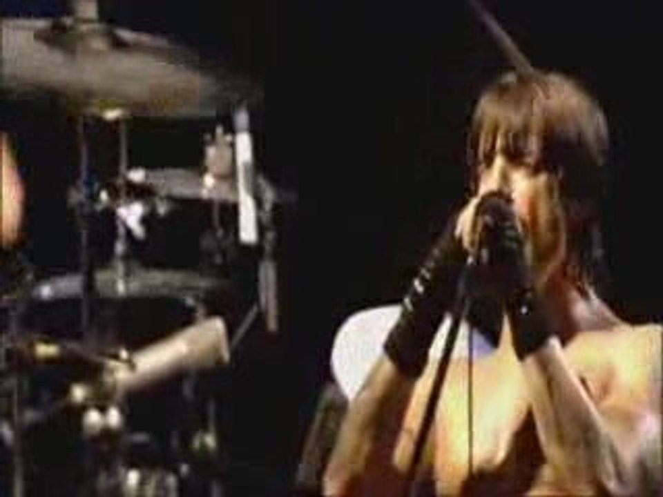 red hot chili peppers don't forget me(live)(by sefa döner)