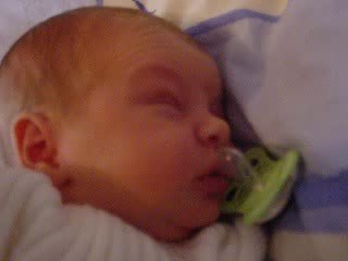 Mon loulou à 4 jours