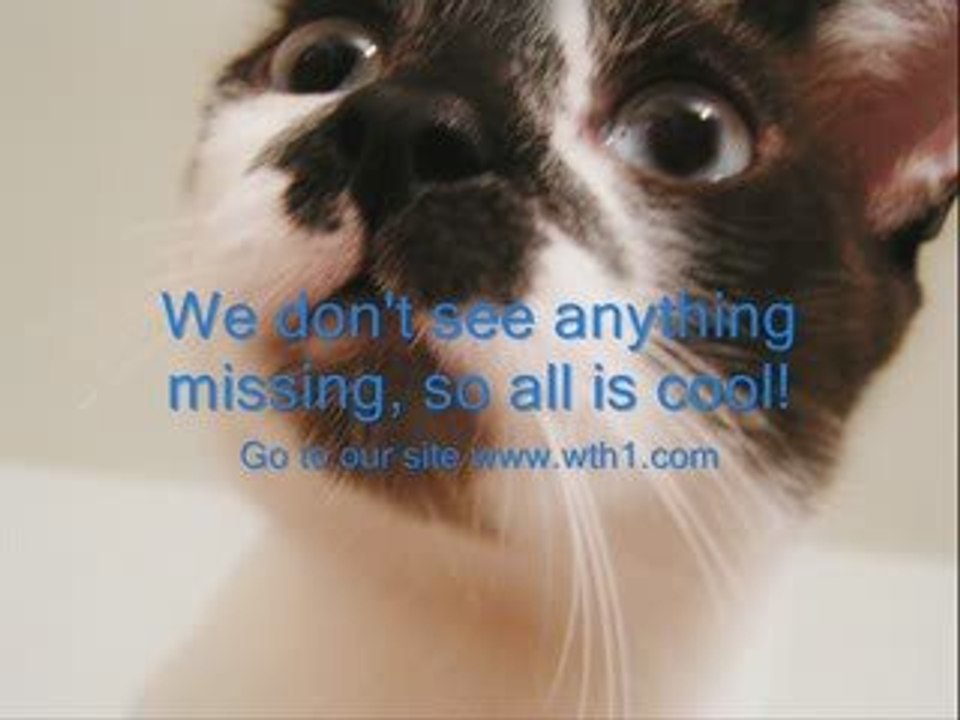 missing money