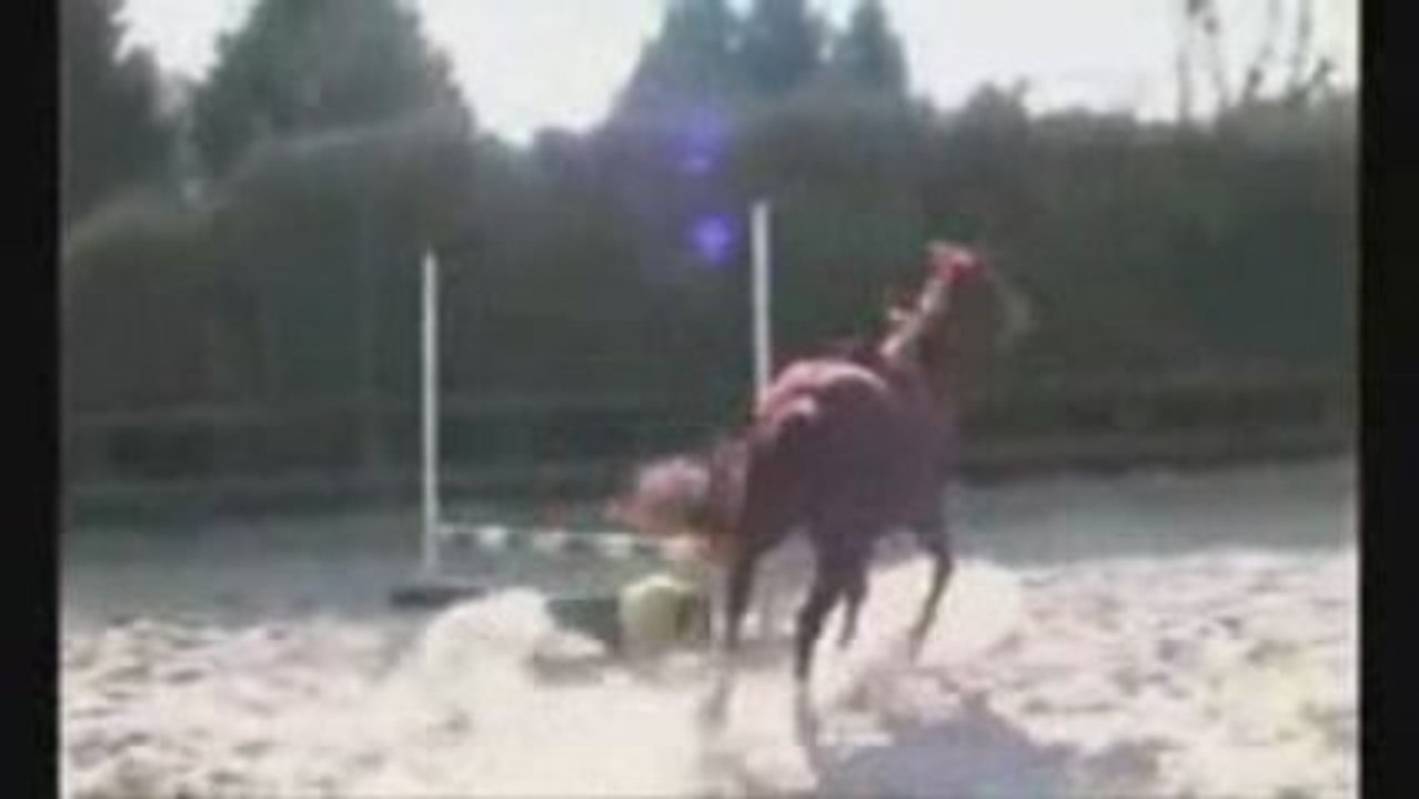 bétisirer de la morandière