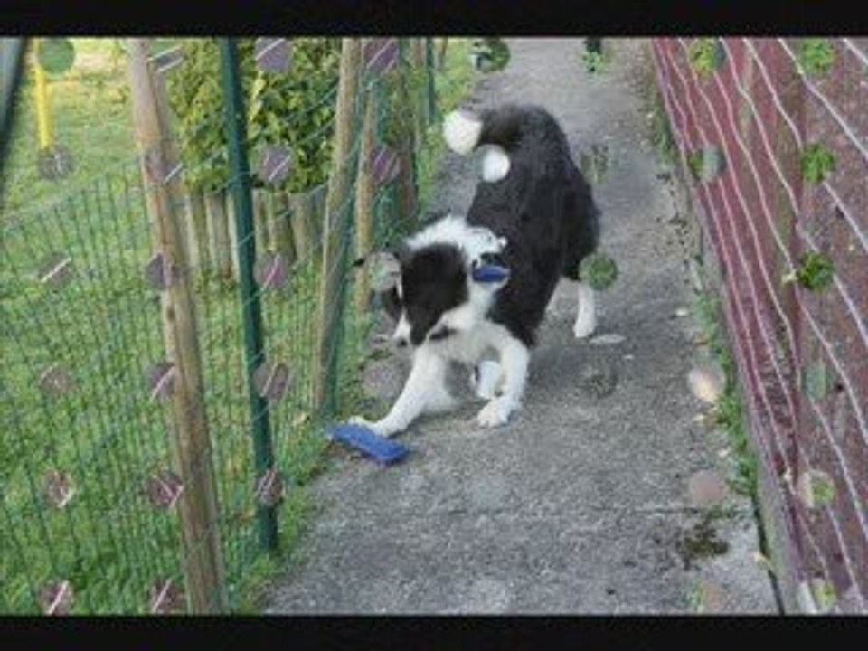 Happy Hour 9 months old