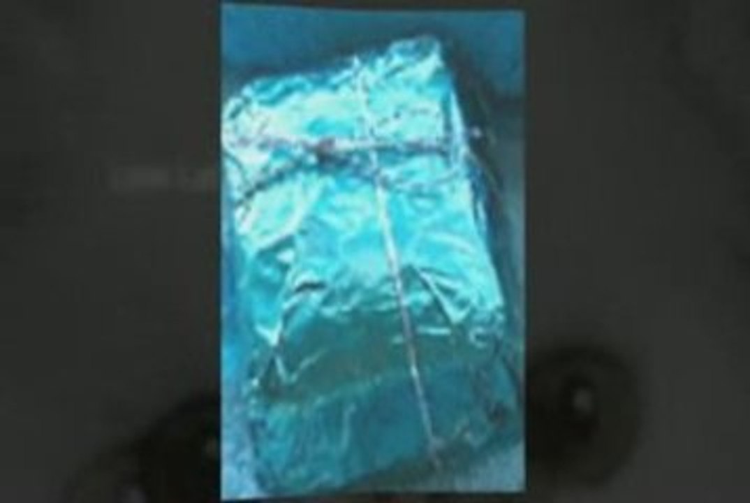 Anna Cat Shampoo Vid 5