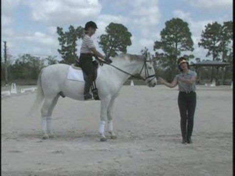 Dressage Trainer Jane Savoie Explains Shoulder-In