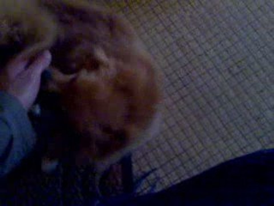 Rouky est content de me retrouver après 6 jours d'abscence