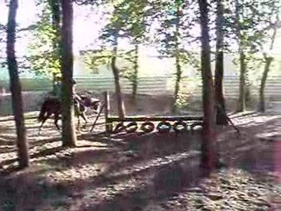 Jazz 27.08 Remise en route