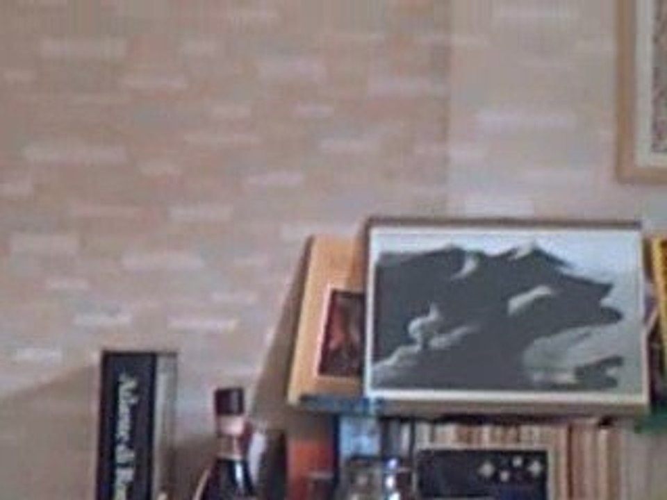 Autoritratti e tele ellittiche ...