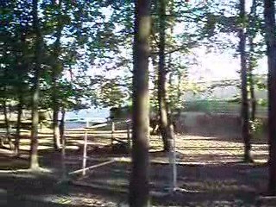 Jazz 27.08 Remise en route