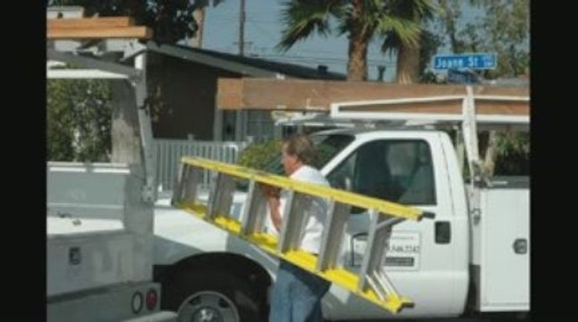 Midway City Termites