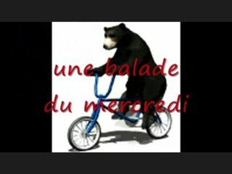 Balade en forêt à la ferme du Fays dans l'Yonne