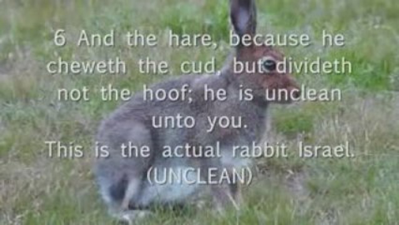 DIETARY LAWS OF ISRAEL PART1