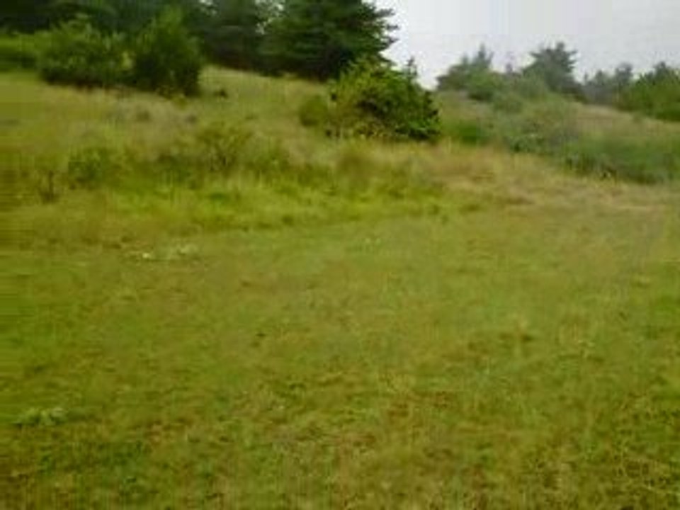 Petite Sortie Estivale Temps lourd & orageux 22°C