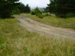 Sortie Estivale avec les Beagles