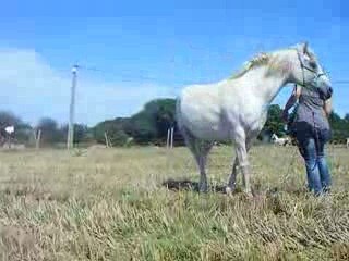 MARIO pression rythmique 21/08/09