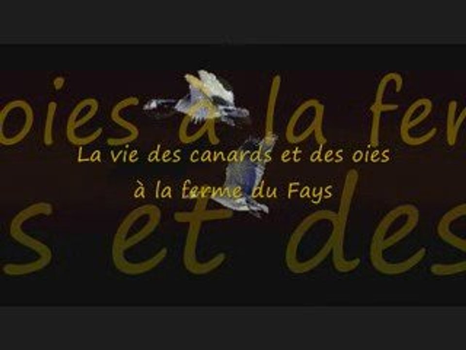 Stages à la ferme pédagogique du Fays dans la forêt d'Othe