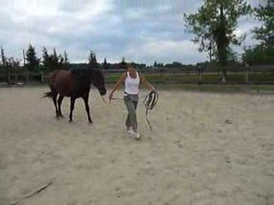 Quiator marche dans le van