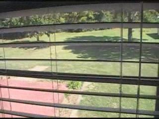 A Little Bit Country