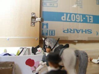 Centre équestre de l'équidé libre 2