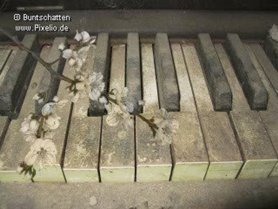 Tony Carey - In The Absence Of The Cat