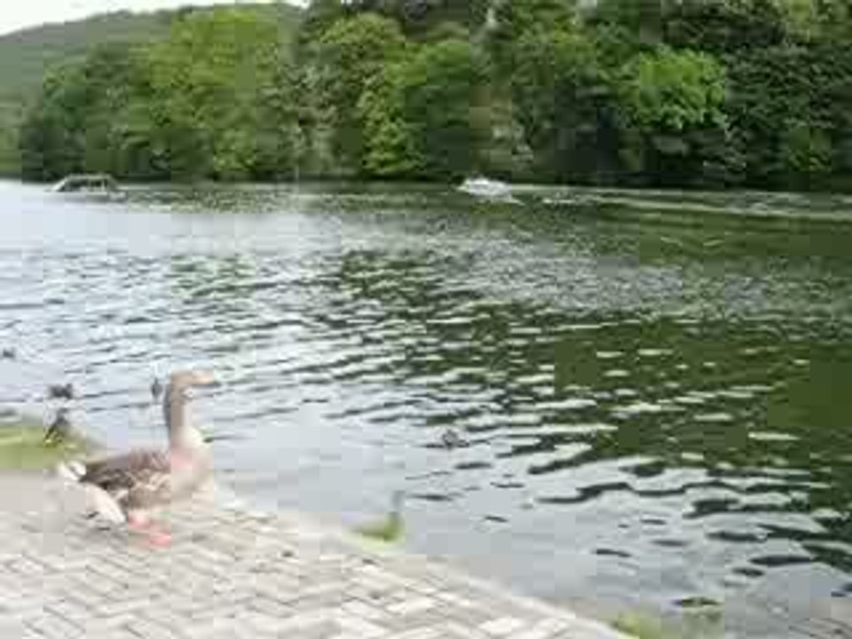 SIBYLLE ET LE CANOT A MOTEUR  MI AOUT 2009 007