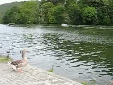 SIBYLLE ET LE CANOT A MOTEUR MI AOUT 2009 007