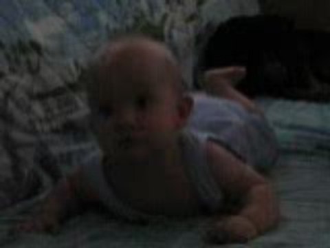 *-* Maxou, filmé par son tonton J.-C. *-*