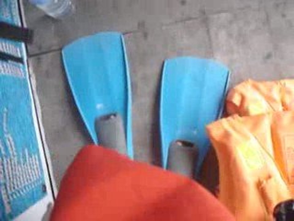 Introduction Malaisie