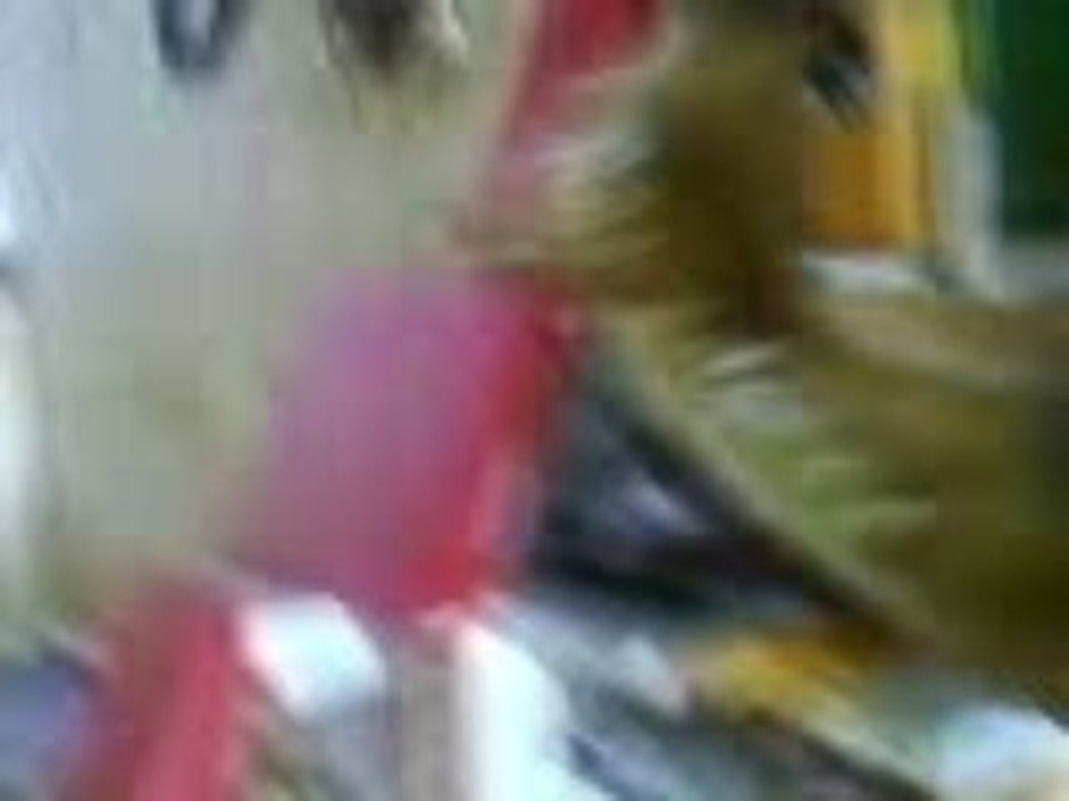 encore un délire de schleich