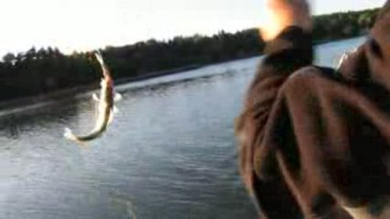 21.8.2009 SUDAK AVIM & CESITLI FOTOLAR 008