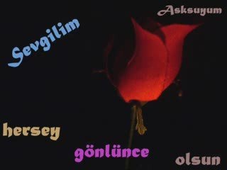 Müslüm Gürses-Herşey Gönlünce Olsun