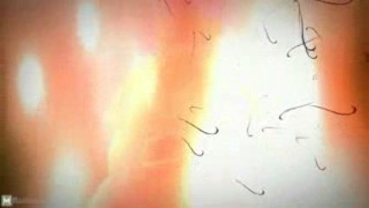 World of Warcraft: Cataclysm Blizzcon Official Trailer [HD]