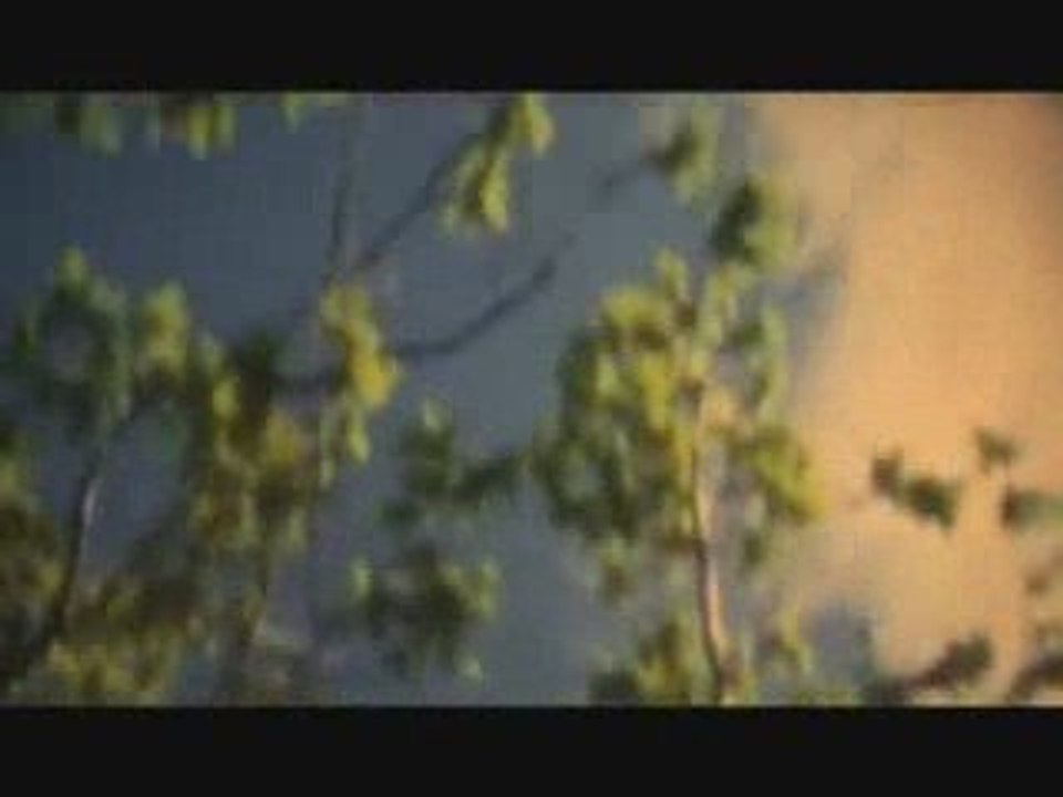 pastels / tenniscoats - vivid youth