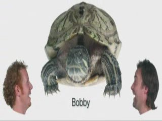 david Hewlett in Nothing french part 5