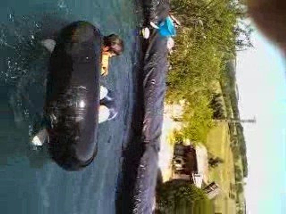 aprèm piscine chez teo
