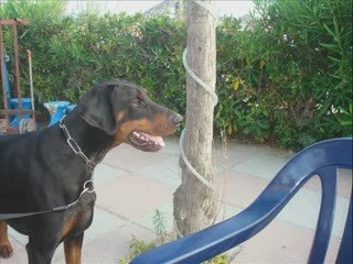 Sherkan en vacance en Italie