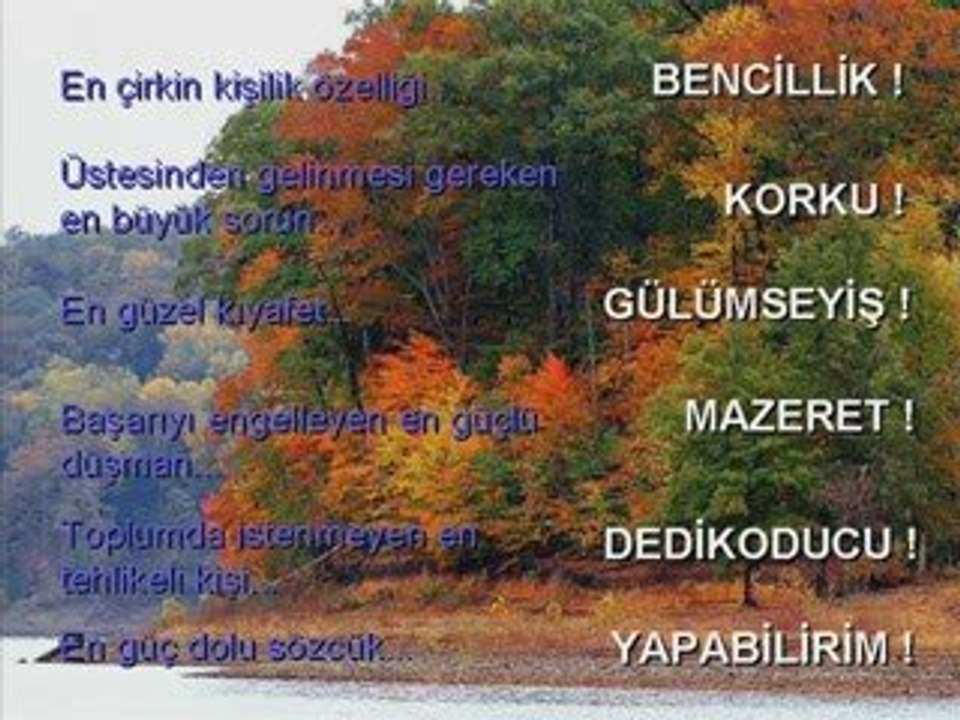 Bir Hayat Rehberi