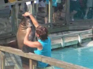 ZOO DE LA  FLECHE   1