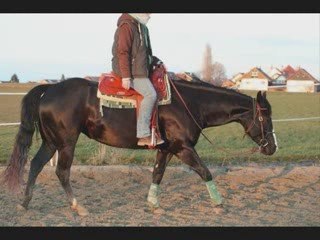 Sunset - 30 mai 2004