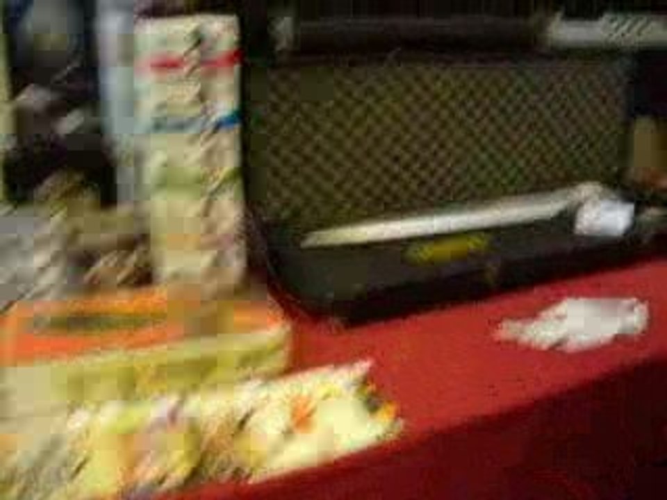 Japan Expo 2008 - Diverses maquettes et figurines