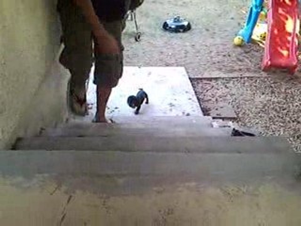 fripoun et les marches