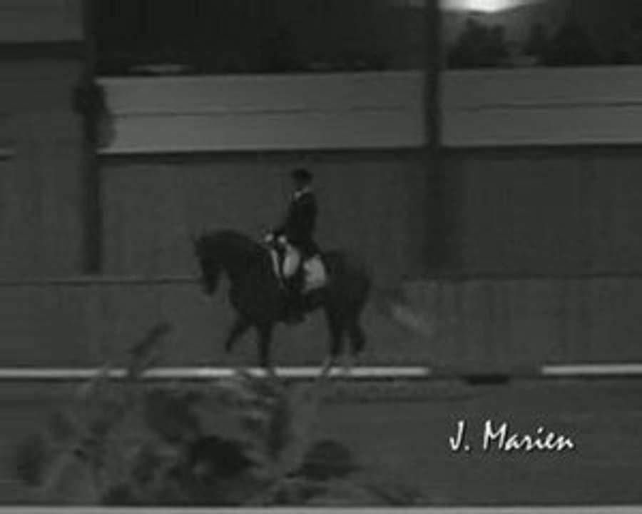 Le cheval, si formiiiidableuhhh