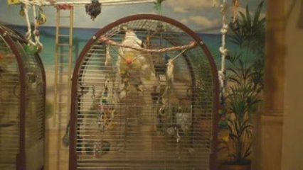 ALOHA chante et danse avec Omadanielle