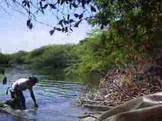 CORINTO NORTE EN LA ISLA.1