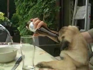 elle a trop soif....