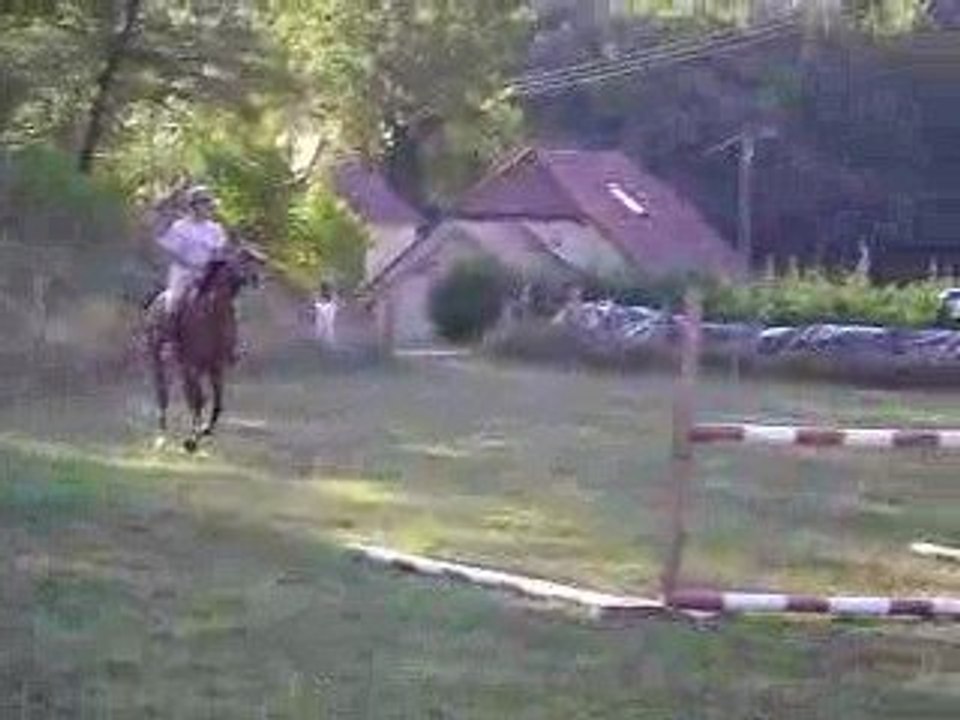 Le cheval le plus courageux du monde