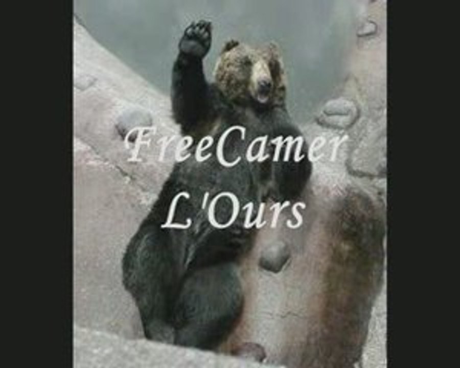 FreeCamer l'Ours