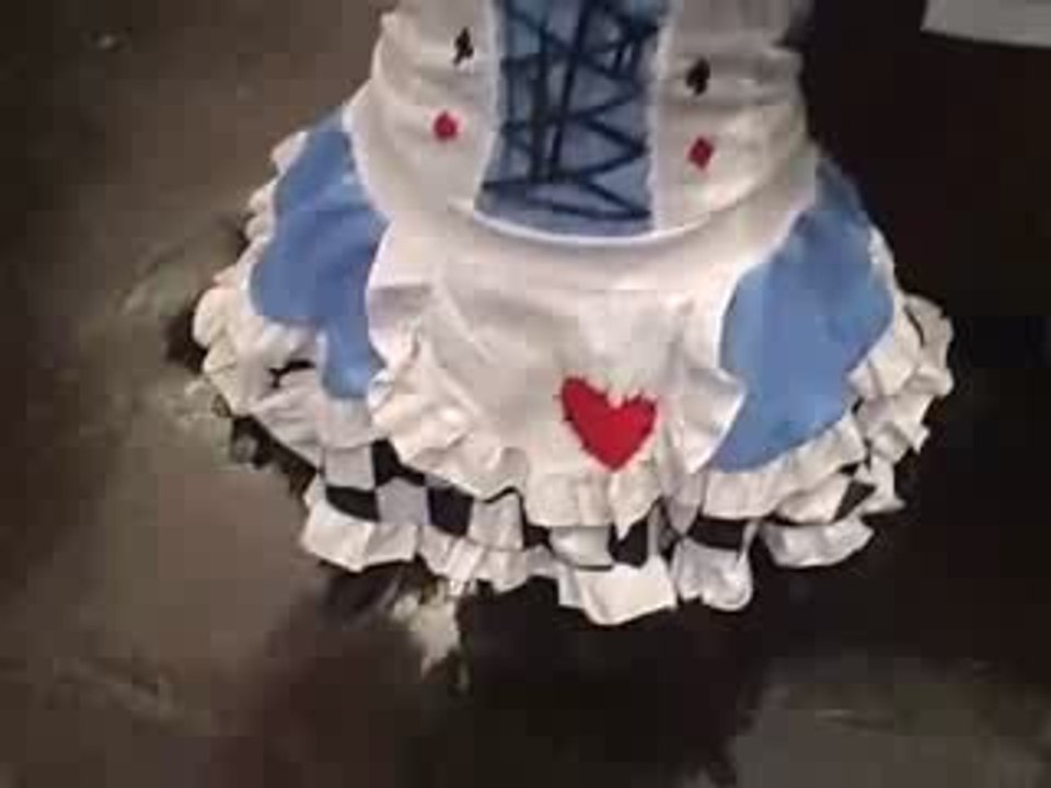 thehalloweencostumestore