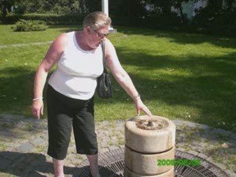 Budapest 2009 with Red Bull Air Race