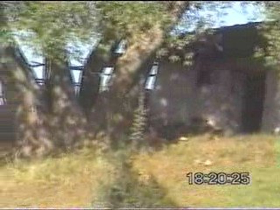 guzelbeyli kasabası yaylaları