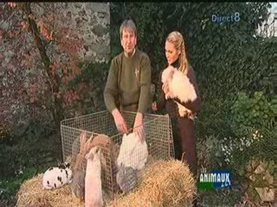 Les animaux de la 8 : extrait sur les lapins